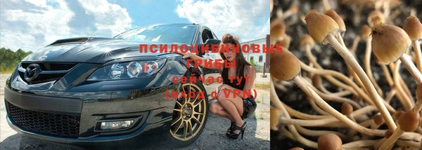 каннабис Кодинск