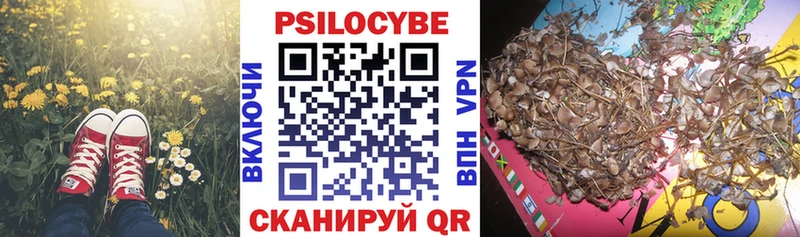 Псилоцибиновые грибы ЛСД  Купить  Болохово 