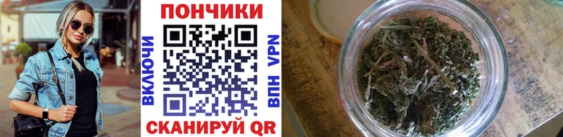 Купить где Болохово Каннабис Amnesia